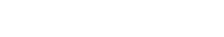 Studio Dalsass Logo
